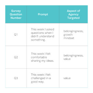 Weekly Survey