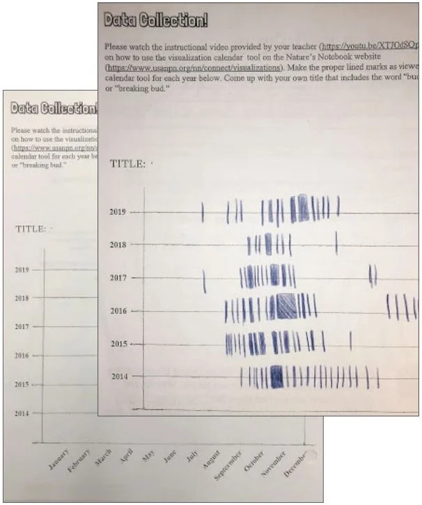 Figure 3. Nature Nook Book Data Collection Template. Note. This figure shows a sample of student work. Students viewed the online visualization tool and transferred colored hash mark data from 2014 to 2019 to their template in order to identify trends in spring phenophases.