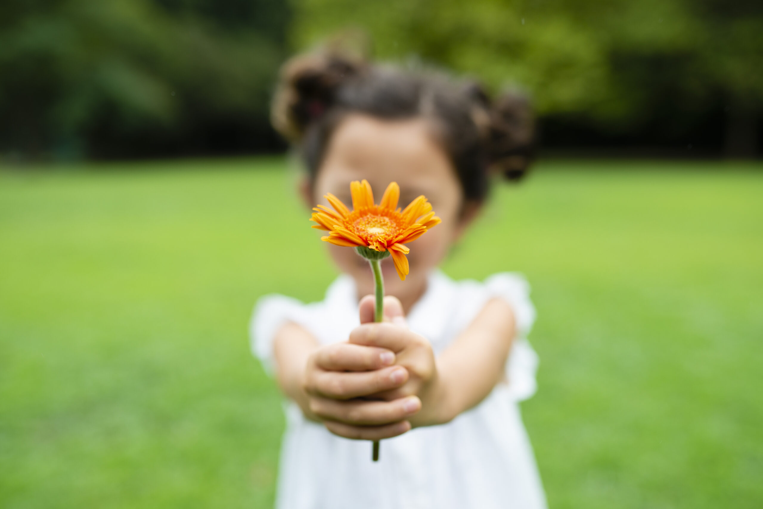 Дети оптимисты. Благодарность эмоция. Благодарный ребенок. Благодарность человеку. Ребенок с цветком в руках.