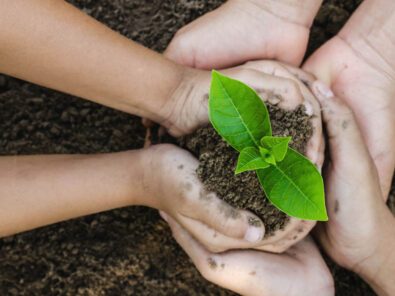 A group of hands holding a sprout out of the dirt